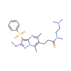 CNc1nn2c(C)c(CCC(=O)N(C)CCN(C)C)c(C)nc2c1S(=O)(=O)c1ccccc1 ZINC000085393562