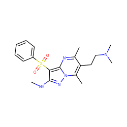 CNc1nn2c(C)c(CCN(C)C)c(C)nc2c1S(=O)(=O)c1ccccc1 ZINC000073161951