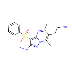 CNc1nn2c(C)c(CCN)c(C)nc2c1S(=O)(=O)c1ccccc1 ZINC000073165602