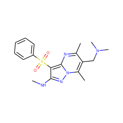 CNc1nn2c(C)c(CN(C)C)c(C)nc2c1S(=O)(=O)c1ccccc1 ZINC000073161539