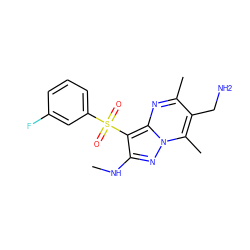 CNc1nn2c(C)c(CN)c(C)nc2c1S(=O)(=O)c1cccc(F)c1 ZINC000073161532