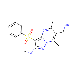 CNc1nn2c(C)c(CN)c(C)nc2c1S(=O)(=O)c1ccccc1 ZINC000073161529