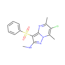 CNc1nn2c(C)c(Cl)c(C)nc2c1S(=O)(=O)c1ccccc1 ZINC000169699837