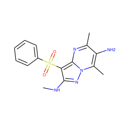 CNc1nn2c(C)c(N)c(C)nc2c1S(=O)(=O)c1ccccc1 ZINC000073169899