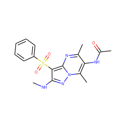 CNc1nn2c(C)c(NC(C)=O)c(C)nc2c1S(=O)(=O)c1ccccc1 ZINC000073161523