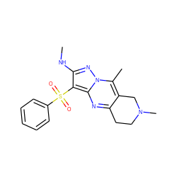 CNc1nn2c(C)c3c(nc2c1S(=O)(=O)c1ccccc1)CCN(C)C3 ZINC000068197256