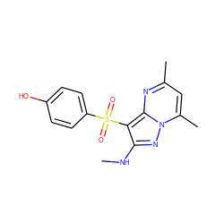 CNc1nn2c(C)cc(C)nc2c1S(=O)(=O)c1ccc(O)cc1 ZINC000066098768