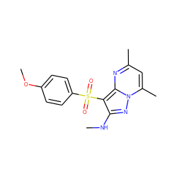 CNc1nn2c(C)cc(C)nc2c1S(=O)(=O)c1ccc(OC)cc1 ZINC000066098770