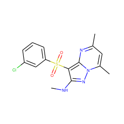 CNc1nn2c(C)cc(C)nc2c1S(=O)(=O)c1cccc(Cl)c1 ZINC000066098761