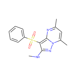 CNc1nn2c(C)cc(C)nc2c1S(=O)(=O)c1ccccc1 ZINC000066079137