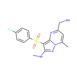 CNc1nn2c(C)cc(CN)nc2c1S(=O)(=O)c1ccc(F)cc1 ZINC000169699844