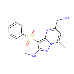 CNc1nn2c(C)cc(CN)nc2c1S(=O)(=O)c1ccccc1 ZINC000073159517