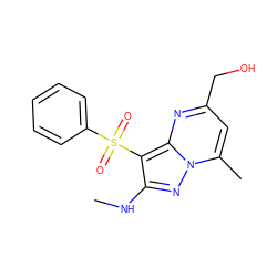 CNc1nn2c(C)cc(CO)nc2c1S(=O)(=O)c1ccccc1 ZINC000066079256