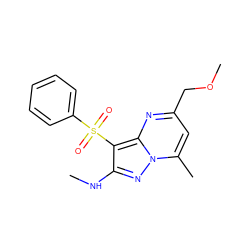 CNc1nn2c(C)cc(COC)nc2c1S(=O)(=O)c1ccccc1 ZINC000066066120