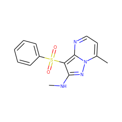 CNc1nn2c(C)ccnc2c1S(=O)(=O)c1ccccc1 ZINC000066079141