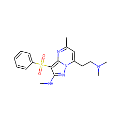 CNc1nn2c(CCN(C)C)cc(C)nc2c1S(=O)(=O)c1ccccc1 ZINC000073159514