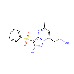 CNc1nn2c(CCN)cc(C)nc2c1S(=O)(=O)c1ccccc1 ZINC000073159511