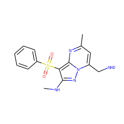 CNc1nn2c(CN)cc(C)nc2c1S(=O)(=O)c1ccccc1 ZINC000073164833