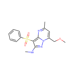 CNc1nn2c(COC)cc(C)nc2c1S(=O)(=O)c1ccccc1 ZINC000066166718