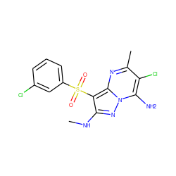 CNc1nn2c(N)c(Cl)c(C)nc2c1S(=O)(=O)c1cccc(Cl)c1 ZINC000073196034