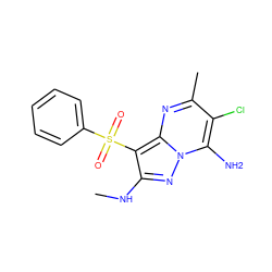 CNc1nn2c(N)c(Cl)c(C)nc2c1S(=O)(=O)c1ccccc1 ZINC000073196033