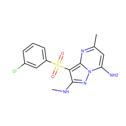 CNc1nn2c(N)cc(C)nc2c1S(=O)(=O)c1cccc(Cl)c1 ZINC000073165600