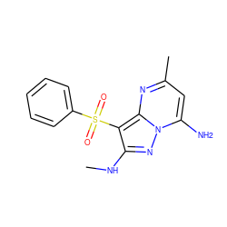 CNc1nn2c(N)cc(C)nc2c1S(=O)(=O)c1ccccc1 ZINC000073156965