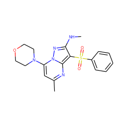 CNc1nn2c(N3CCOCC3)cc(C)nc2c1S(=O)(=O)c1ccccc1 ZINC000073404833