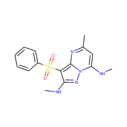 CNc1nn2c(NC)cc(C)nc2c1S(=O)(=O)c1ccccc1 ZINC000073196035