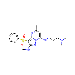 CNc1nn2c(NCCCN(C)C)cc(C)nc2c1S(=O)(=O)c1ccccc1 ZINC000073196712