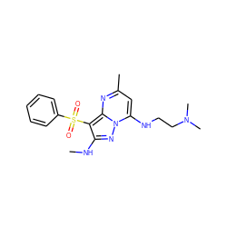 CNc1nn2c(NCCN(C)C)cc(C)nc2c1S(=O)(=O)c1ccccc1 ZINC000073196710