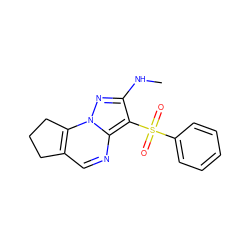 CNc1nn2c3c(cnc2c1S(=O)(=O)c1ccccc1)CCC3 ZINC000049036155