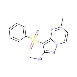 CNc1nn2ccc(C)nc2c1S(=O)(=O)c1ccccc1 ZINC000066079139