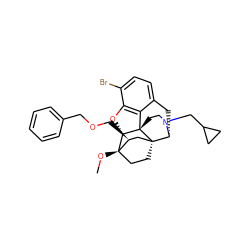 CO[C@]12CC[C@@]3(C[C@@H]1COCc1ccccc1)[C@H]1Cc4ccc(Br)c5c4[C@@]3(CCN1CC1CC1)[C@H]2O5 ZINC000148709449