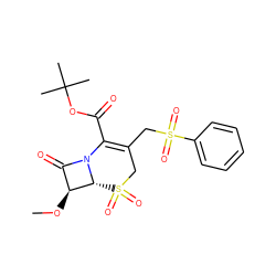 CO[C@H]1C(=O)N2C(C(=O)OC(C)(C)C)=C(CS(=O)(=O)c3ccccc3)CS(=O)(=O)[C@H]12 ZINC000026570213