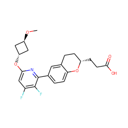 CO[C@H]1C[C@H](Oc2cc(F)c(F)c(-c3ccc4c(c3)CC[C@H](CCC(=O)O)O4)n2)C1 ZINC001772607505