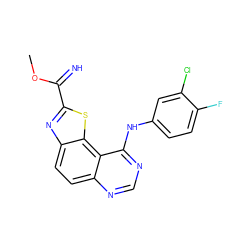 COC(=N)c1nc2ccc3ncnc(Nc4ccc(F)c(Cl)c4)c3c2s1 ZINC000207592200