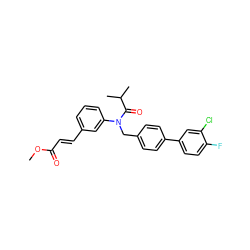 COC(=O)/C=C/c1cccc(N(Cc2ccc(-c3ccc(F)c(Cl)c3)cc2)C(=O)C(C)C)c1 ZINC000028475839