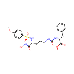 COC(=O)[C@@H](Cc1ccccc1)NC(=O)NCCC[C@@H](NS(=O)(=O)c1ccc(OC)cc1)C(=O)NO ZINC000026175632