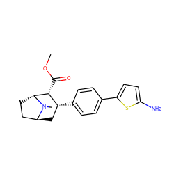 COC(=O)[C@@H]1[C@H](c2ccc(-c3ccc(N)s3)cc2)C[C@H]2CC[C@H]1N2C ZINC000101008652