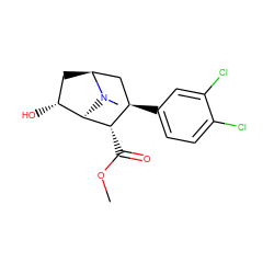 COC(=O)[C@@H]1[C@H]2[C@H](O)C[C@@H](C[C@H]1c1ccc(Cl)c(Cl)c1)N2C ZINC000003940614