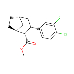 COC(=O)[C@@H]1[C@H]2CC[C@@H](C2)C[C@@H]1c1ccc(Cl)c(Cl)c1 ZINC000100825141