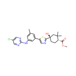 COC(=O)[C@@H]1CC[C@](O)(c2ncc(-c3cc(C)cc(Nc4ncc(Cl)cn4)c3)s2)CC1(C)C ZINC000117801885