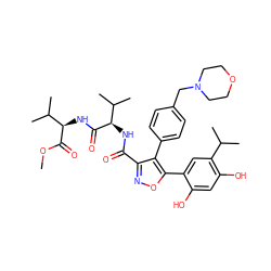 COC(=O)[C@H](NC(=O)[C@H](NC(=O)c1noc(-c2cc(C(C)C)c(O)cc2O)c1-c1ccc(CN2CCOCC2)cc1)C(C)C)C(C)C ZINC001772624211