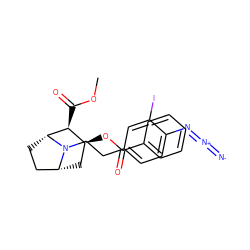 COC(=O)[C@H]1[C@@H](OC(=O)c2ccccc2)C[C@@H]2CC[C@H]1N2CCc1ccc(N=[N+]=[N-])c(I)c1 ZINC000169615516