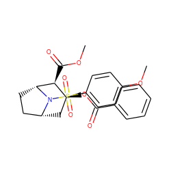 COC(=O)[C@H]1[C@@H](OC(=O)c2ccccc2)C[C@@H]2CC[C@H]1N2S(=O)(=O)c1ccc(OC)cc1 ZINC000013738790