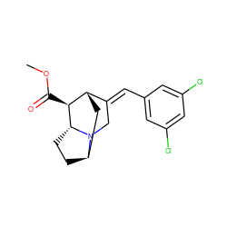 COC(=O)[C@H]1[C@H]2C[C@H]3CC[C@H]1N3C/C2=C\c1cc(Cl)cc(Cl)c1 ZINC000253699375