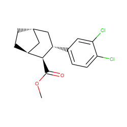 COC(=O)[C@H]1[C@H]2CC[C@@H](C2)C[C@@H]1c1ccc(Cl)c(Cl)c1 ZINC000100825145