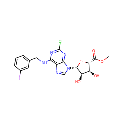 COC(=O)[C@H]1O[C@@H](n2cnc3c(NCc4cccc(I)c4)nc(Cl)nc32)[C@H](O)[C@@H]1O ZINC000049877870