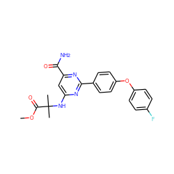 COC(=O)C(C)(C)Nc1cc(C(N)=O)nc(-c2ccc(Oc3ccc(F)cc3)cc2)n1 ZINC000142410773